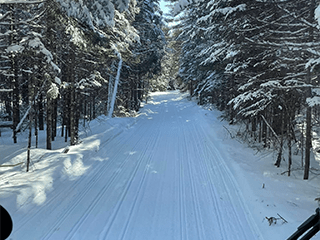 winter trail